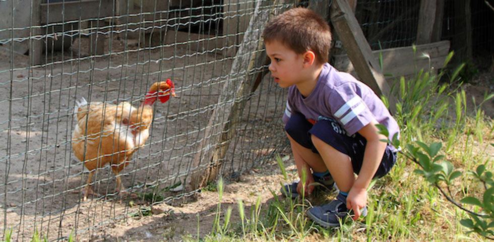 Paola Negro per Fattorie Didattiche Image via www.iodonna.it