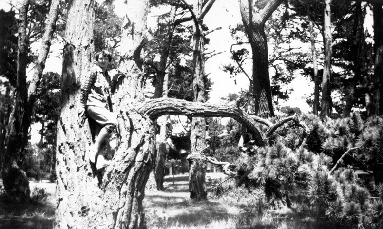 content_plain-magazine-women-in-trees-10