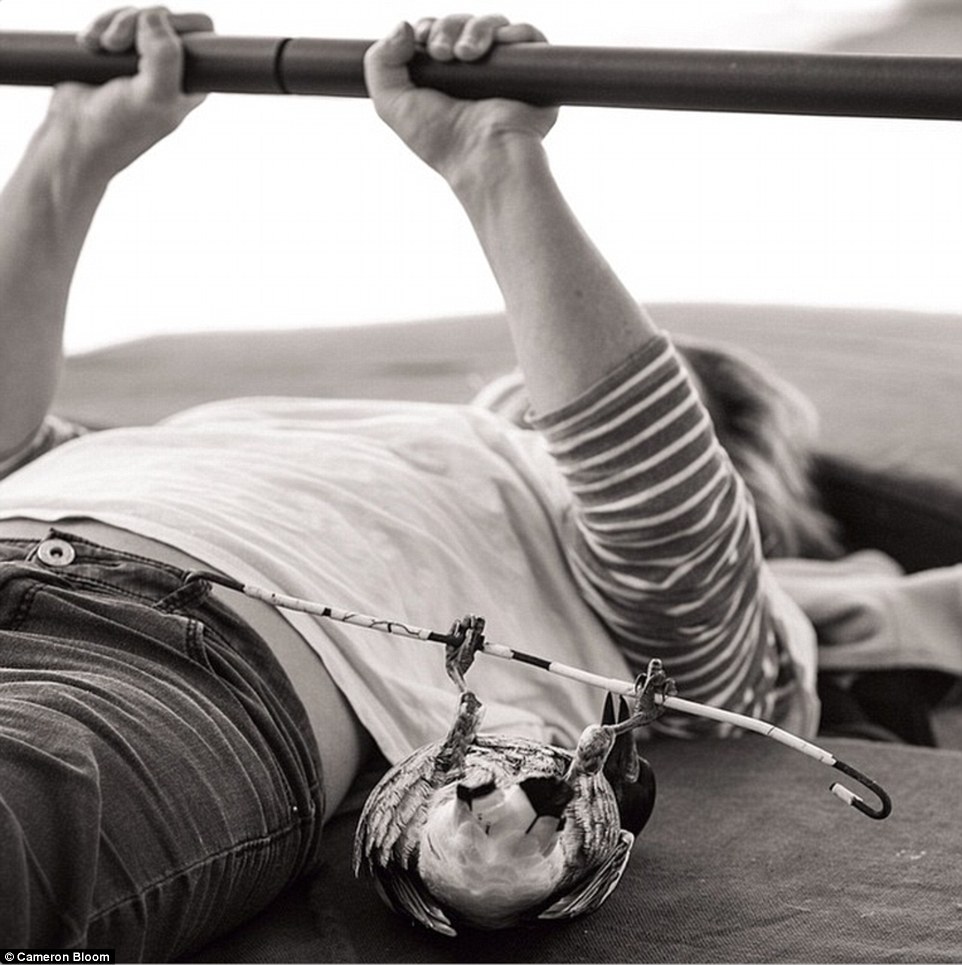 26850b5400000578-2988830-penguin_enjoying_a_morning_work_out_with_mum_sam_the_joy_she_s_b-a-3_1426032517305